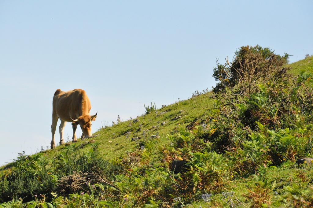 Casa Rural La Riba Sames Luaran gambar